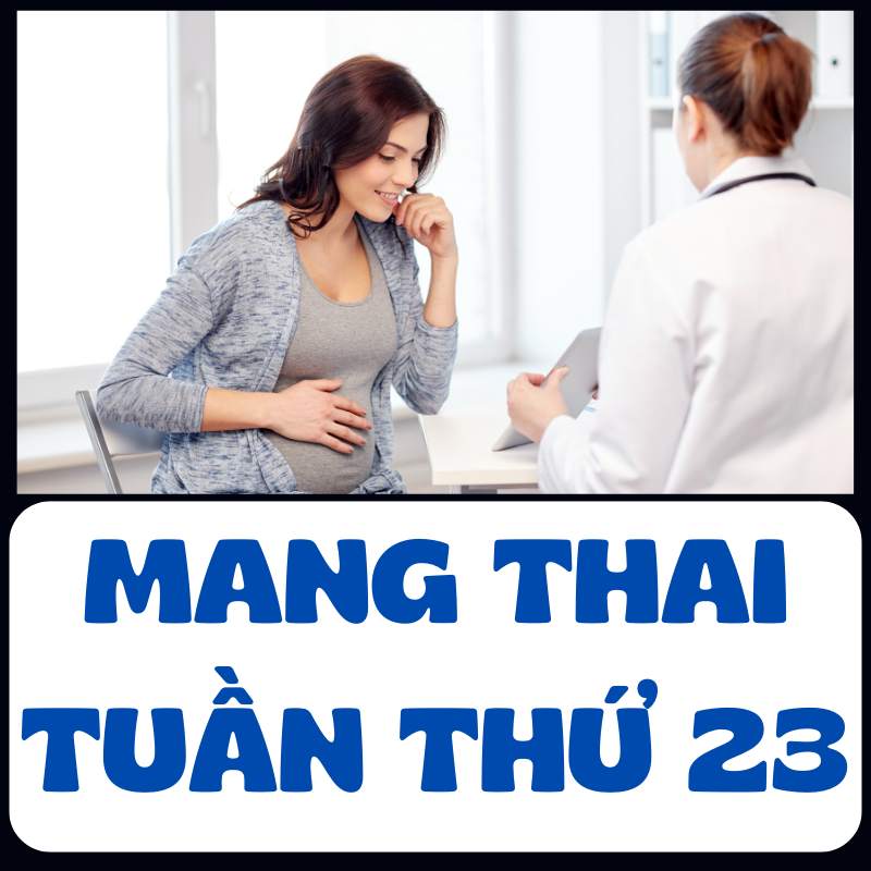 Mẹ bầu đi khám thai tuần thứ 23